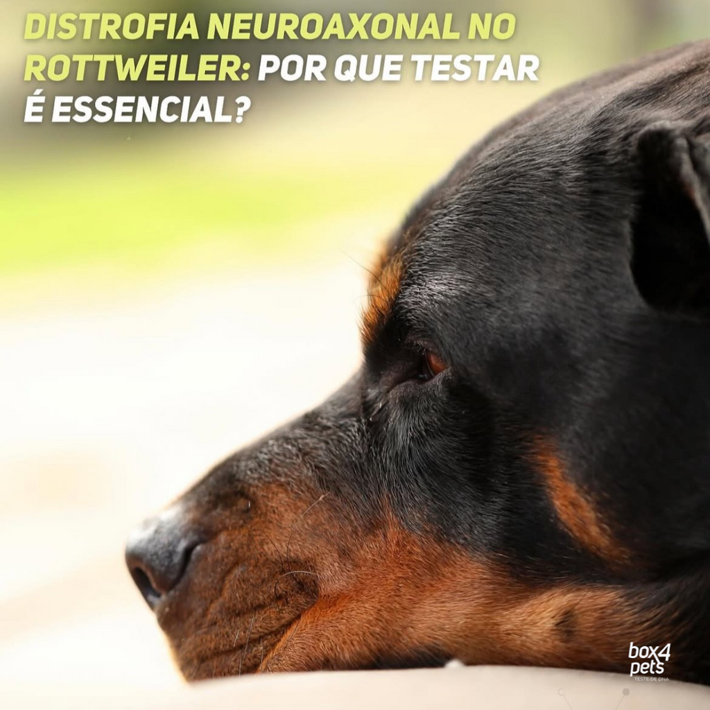 Distrofia Neuroaxonal (NAD): Por que testar é essencial?