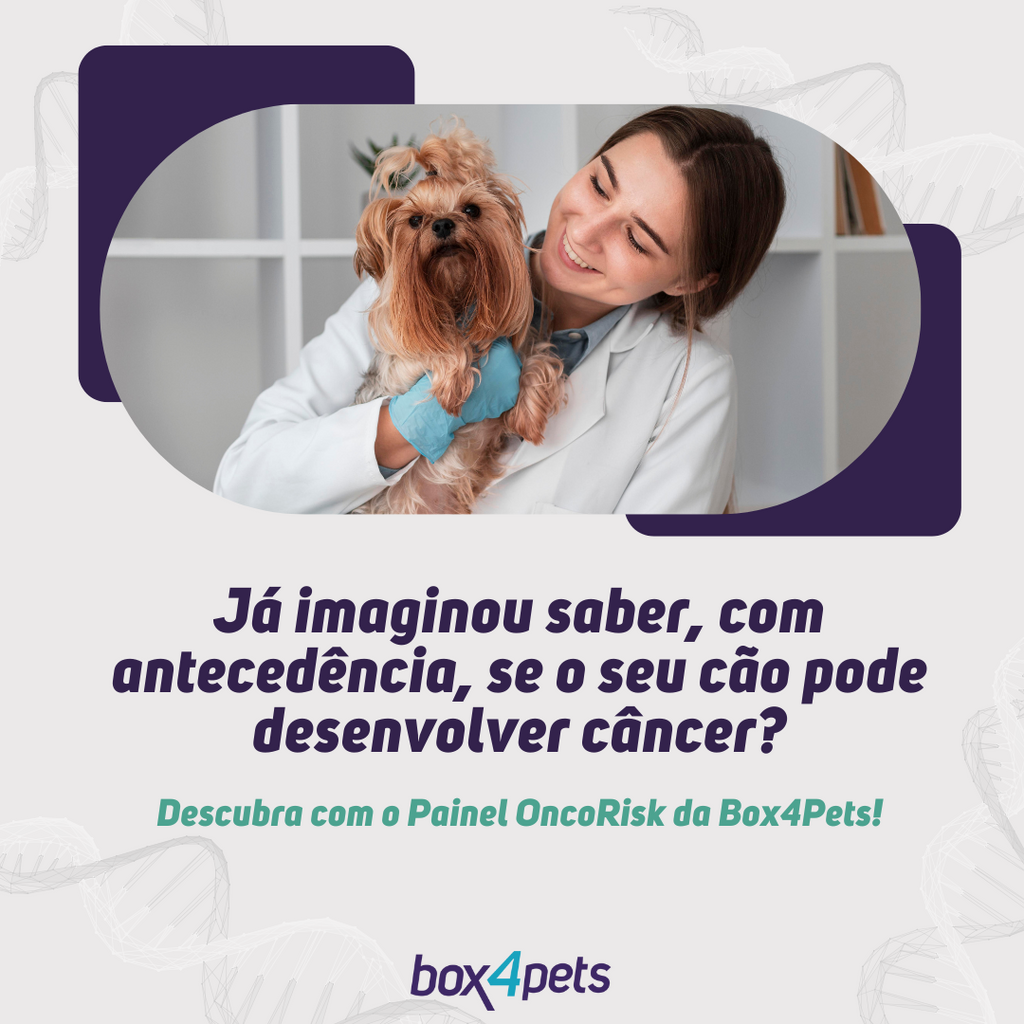 OncoRisk: O Teste Genético que Revela a Predisposição ao Câncer em Cães
