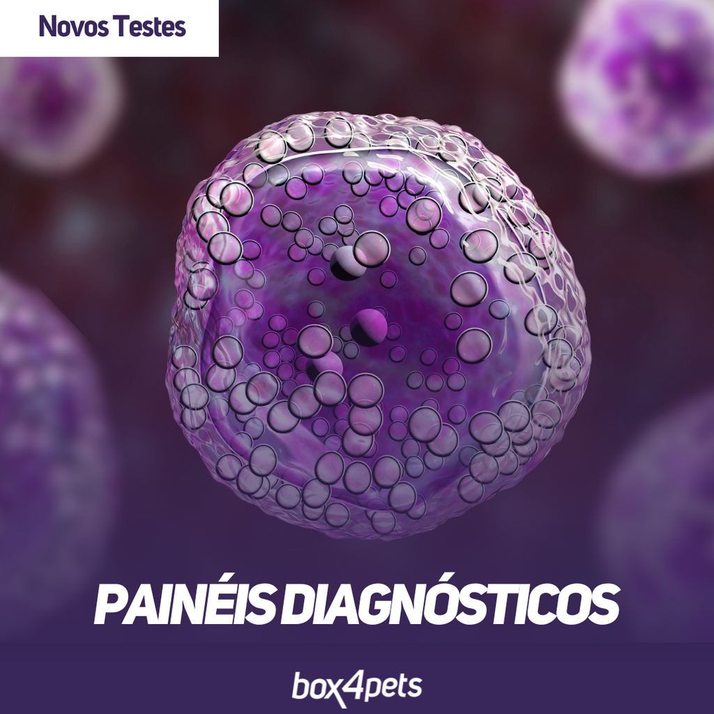 Novos Testes Disponíveis: Painéis Diagnósticos para Linfomas.